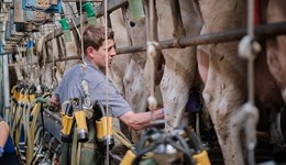 Dairy market summary 2024